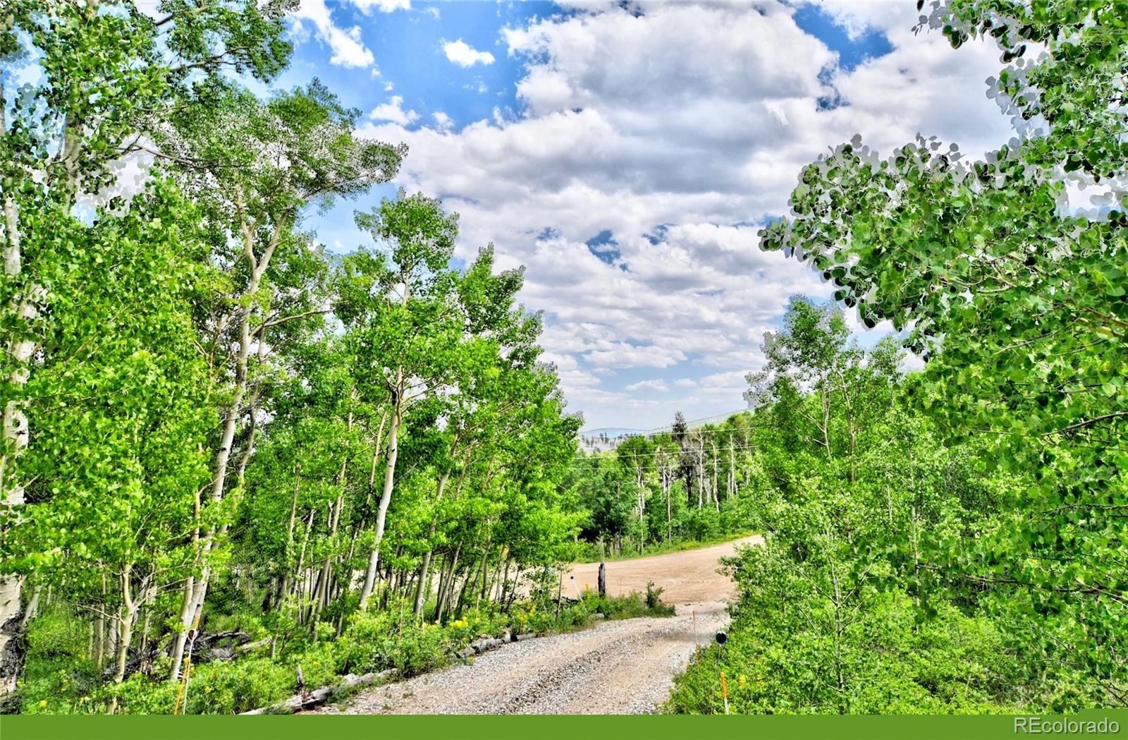 605 Lamb Mountain Road Fairplay CO 80440
