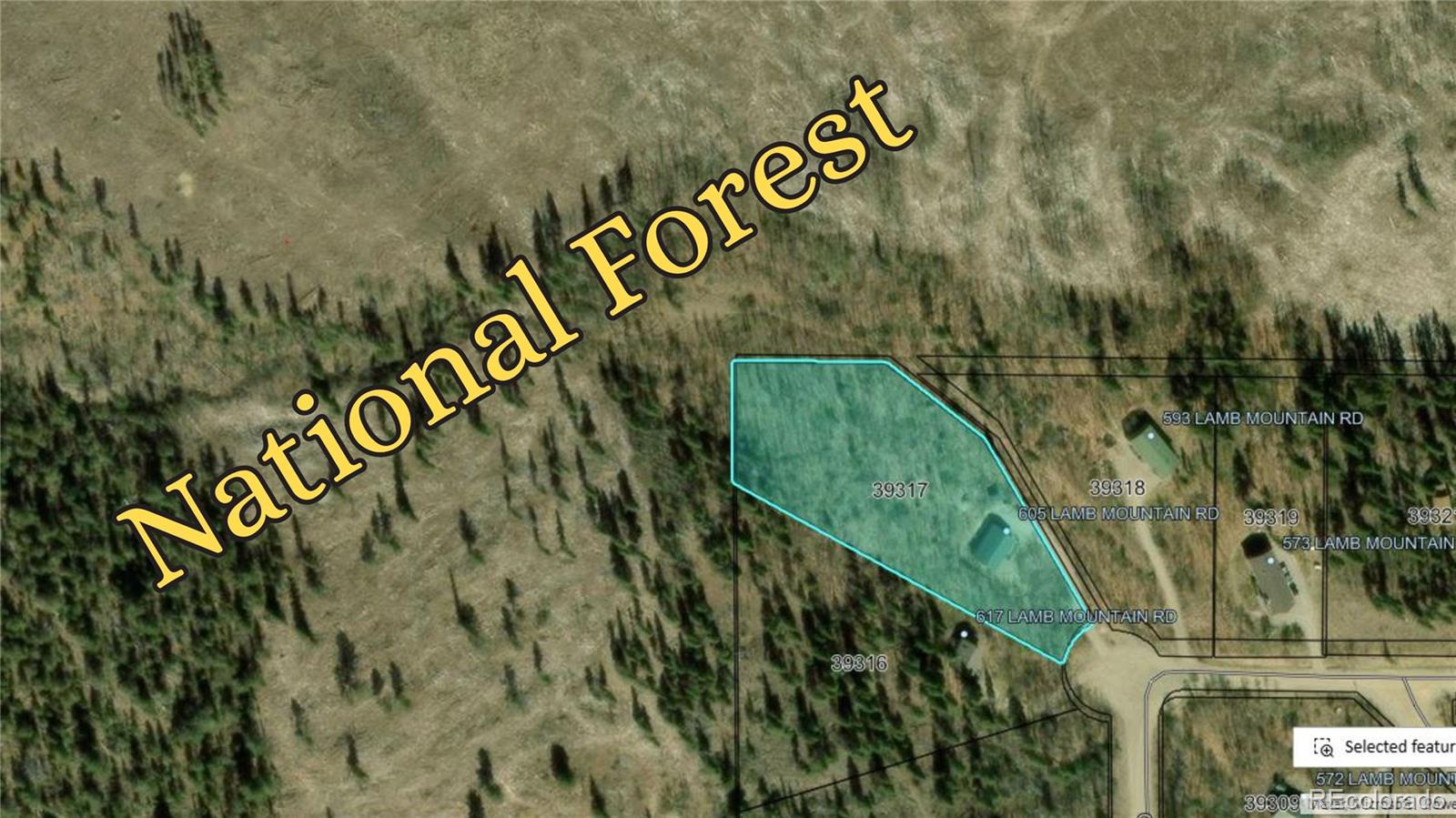 605 Lamb Mountain Road Fairplay CO 80440
