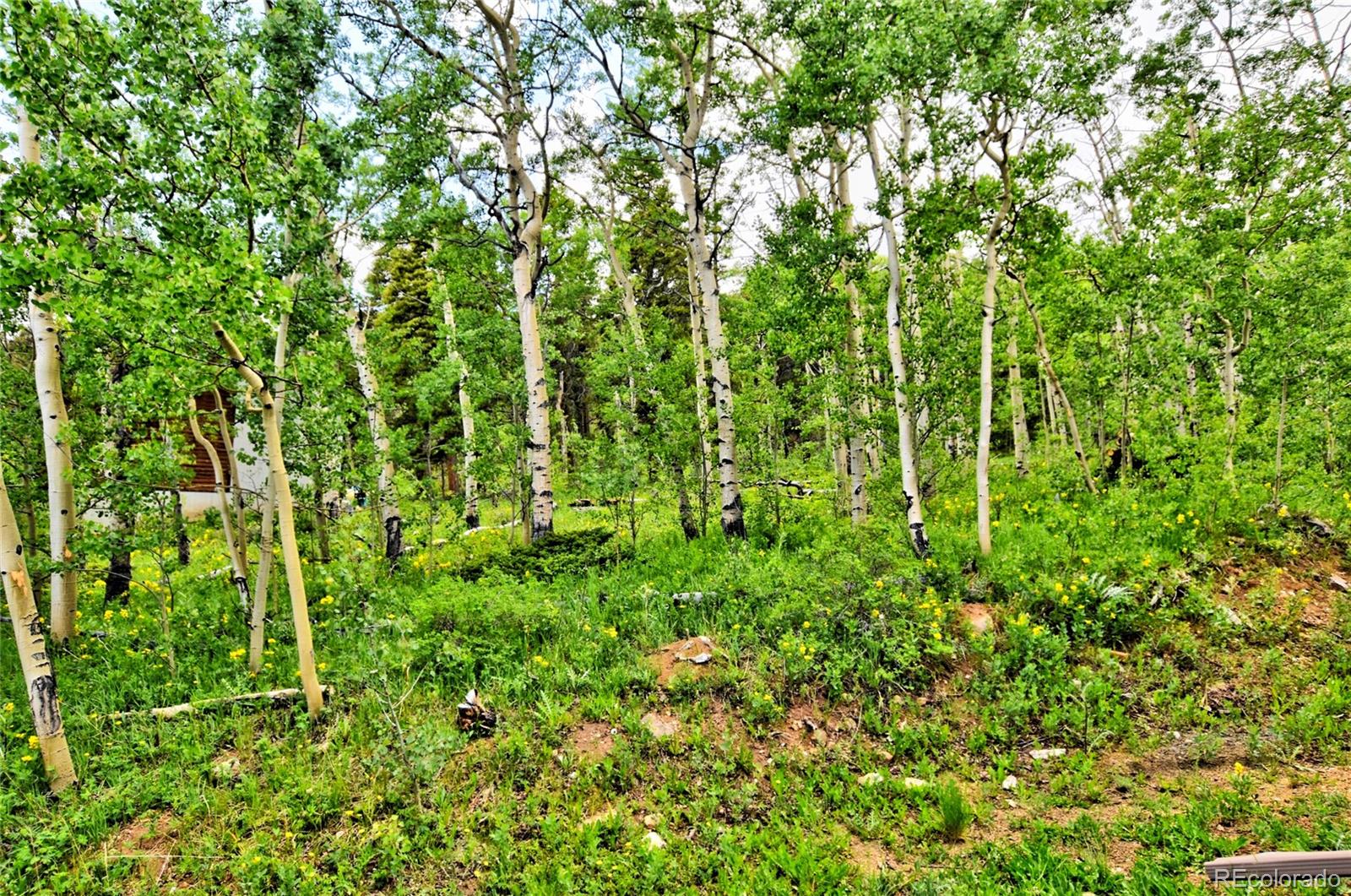 605 Lamb Mountain Road Fairplay CO 80440