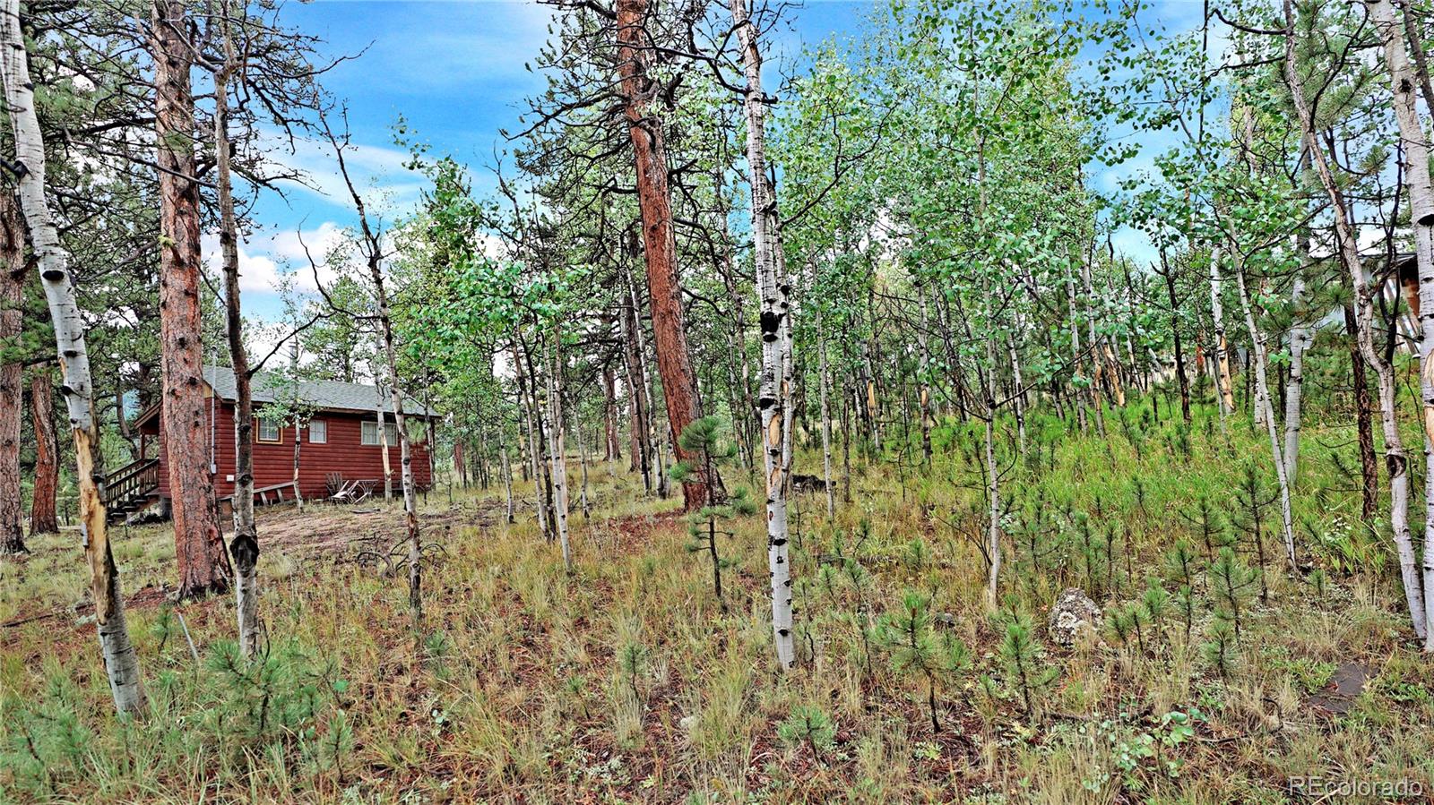 109 Wolf Road Bailey CO 80421