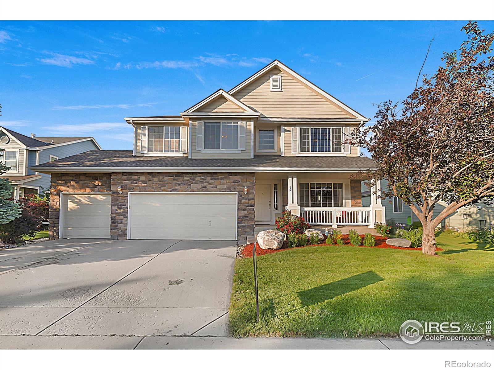 116 Cobble Court Windsor CO 80550