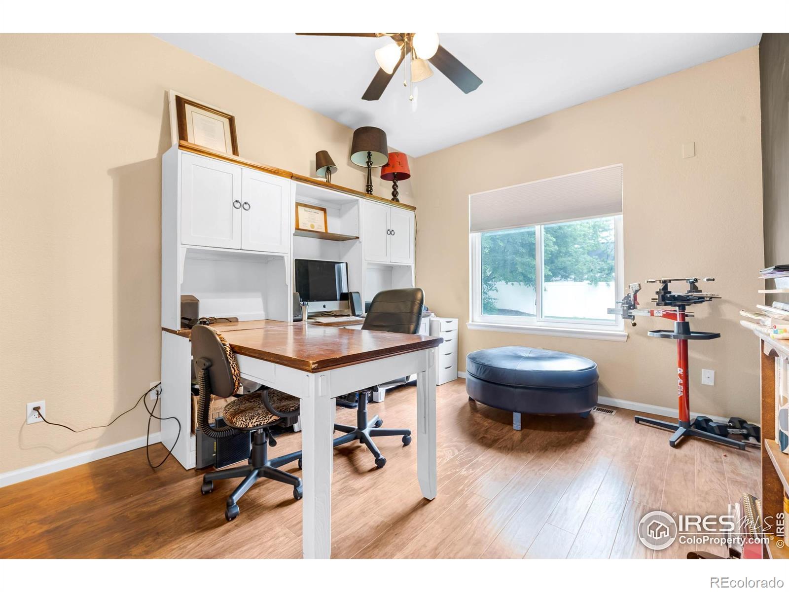 116 Cobble Court Windsor CO 80550