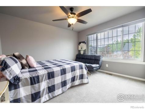 116 Cobble Court Windsor CO 80550