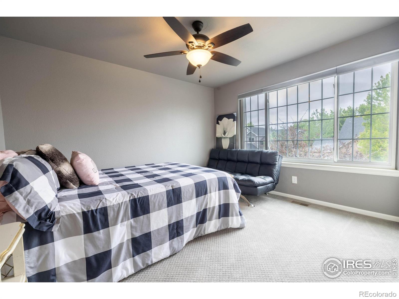 116 Cobble Court Windsor CO 80550