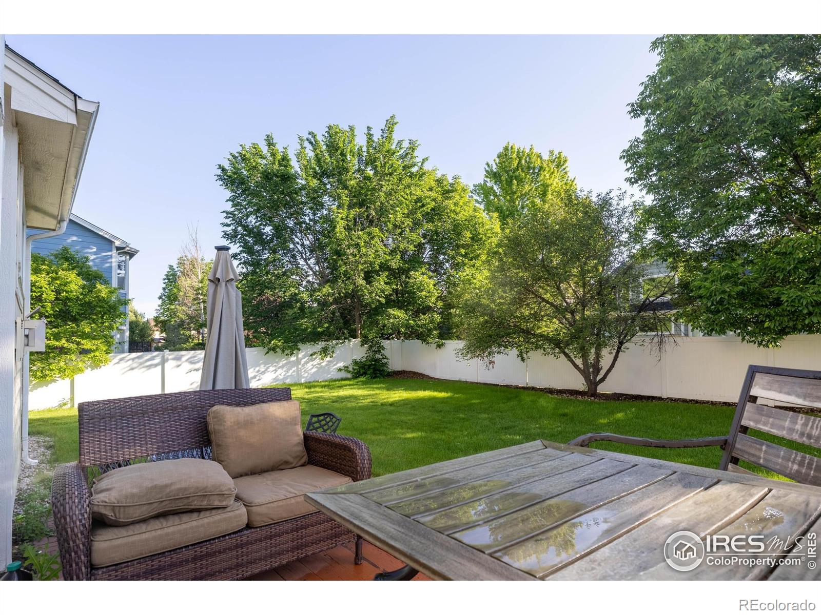 116 Cobble Court Windsor CO 80550