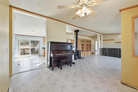 4441 Goldenburg Canyon Road Hartsel CO 80449