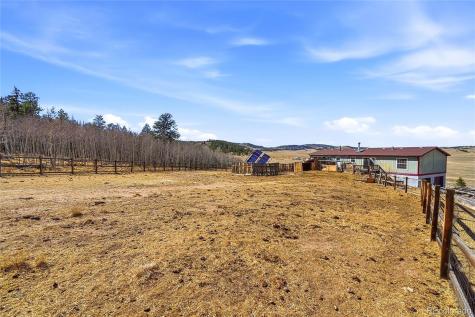 4441 Goldenburg Canyon Road Hartsel CO 80449