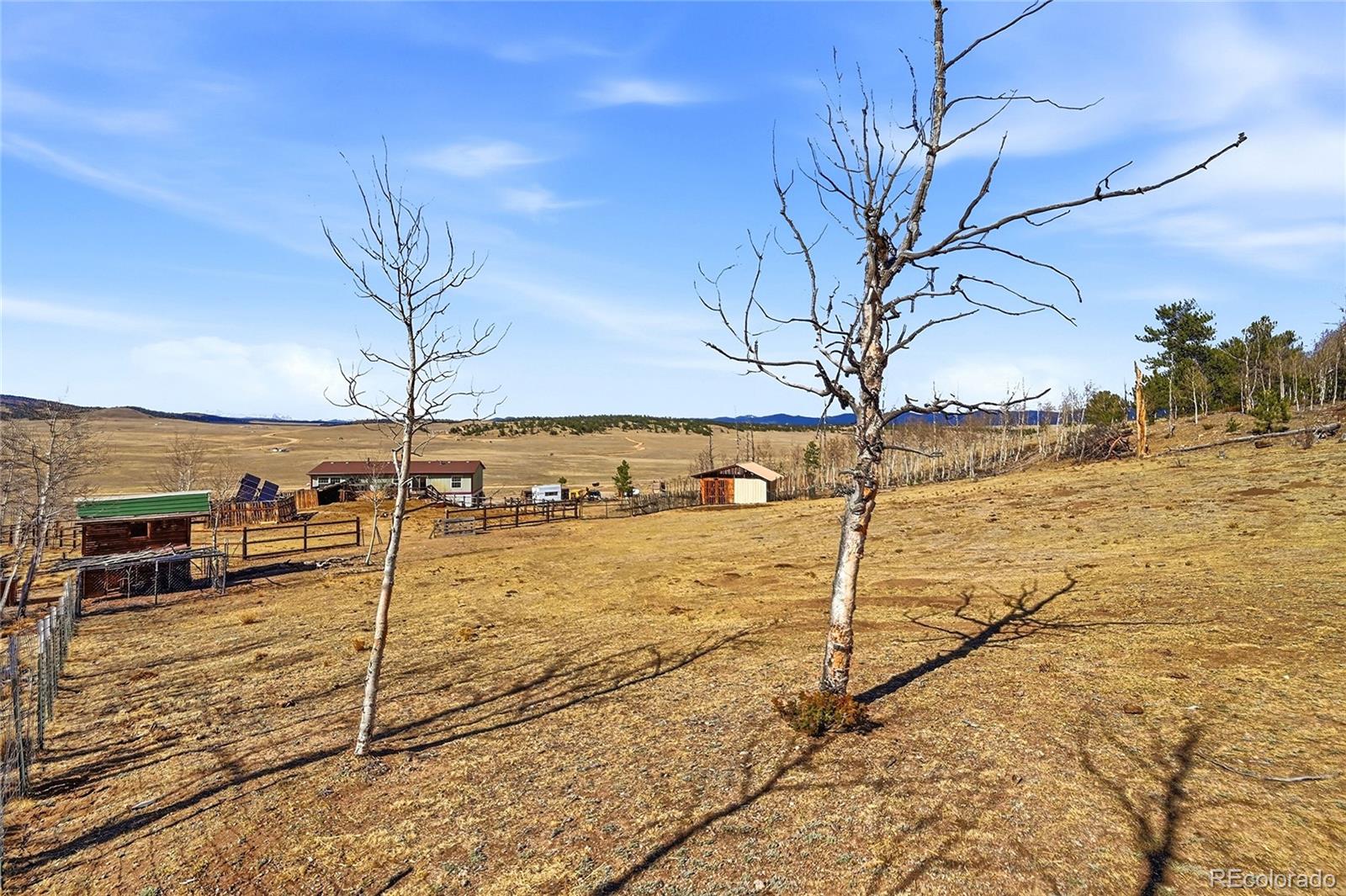 4441 Goldenburg Canyon Road Hartsel CO 80449
