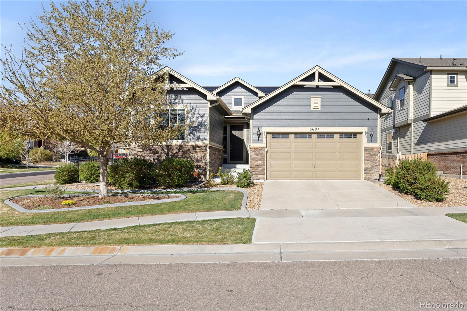 6693 S Muscadine Court Aurora CO 80016