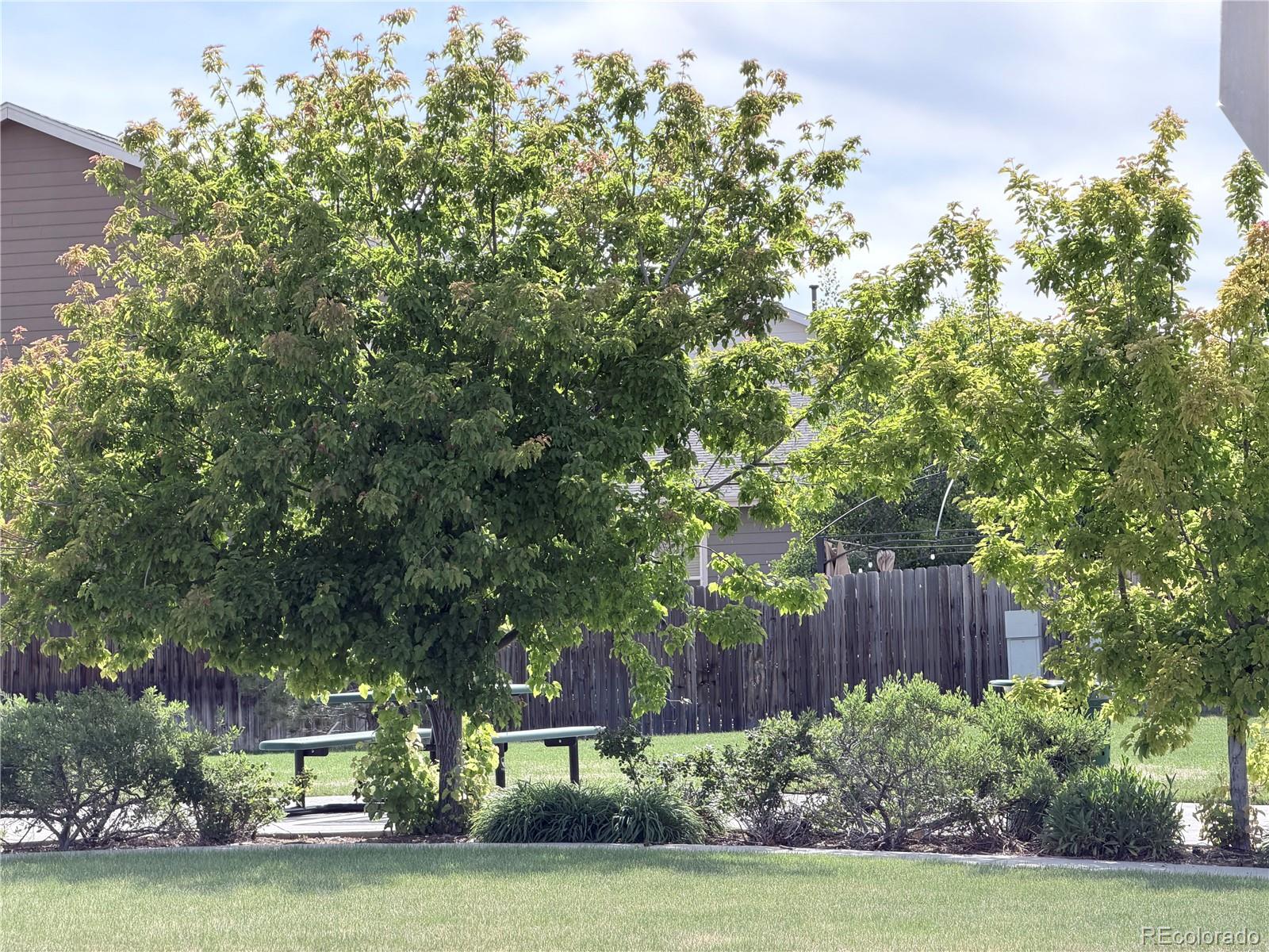 575 Solano Drive Lochbuie CO 80603
