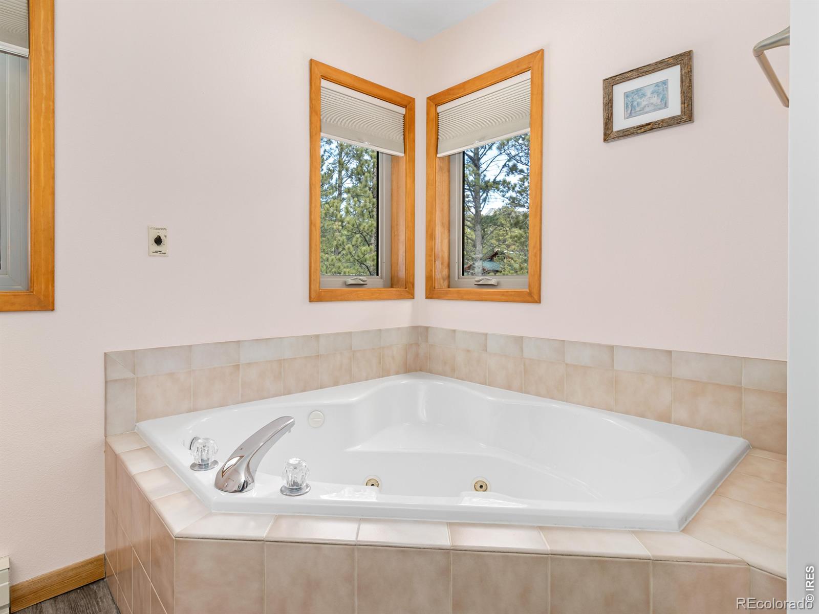 510 Chiquita Lane Estes Park CO 80517
