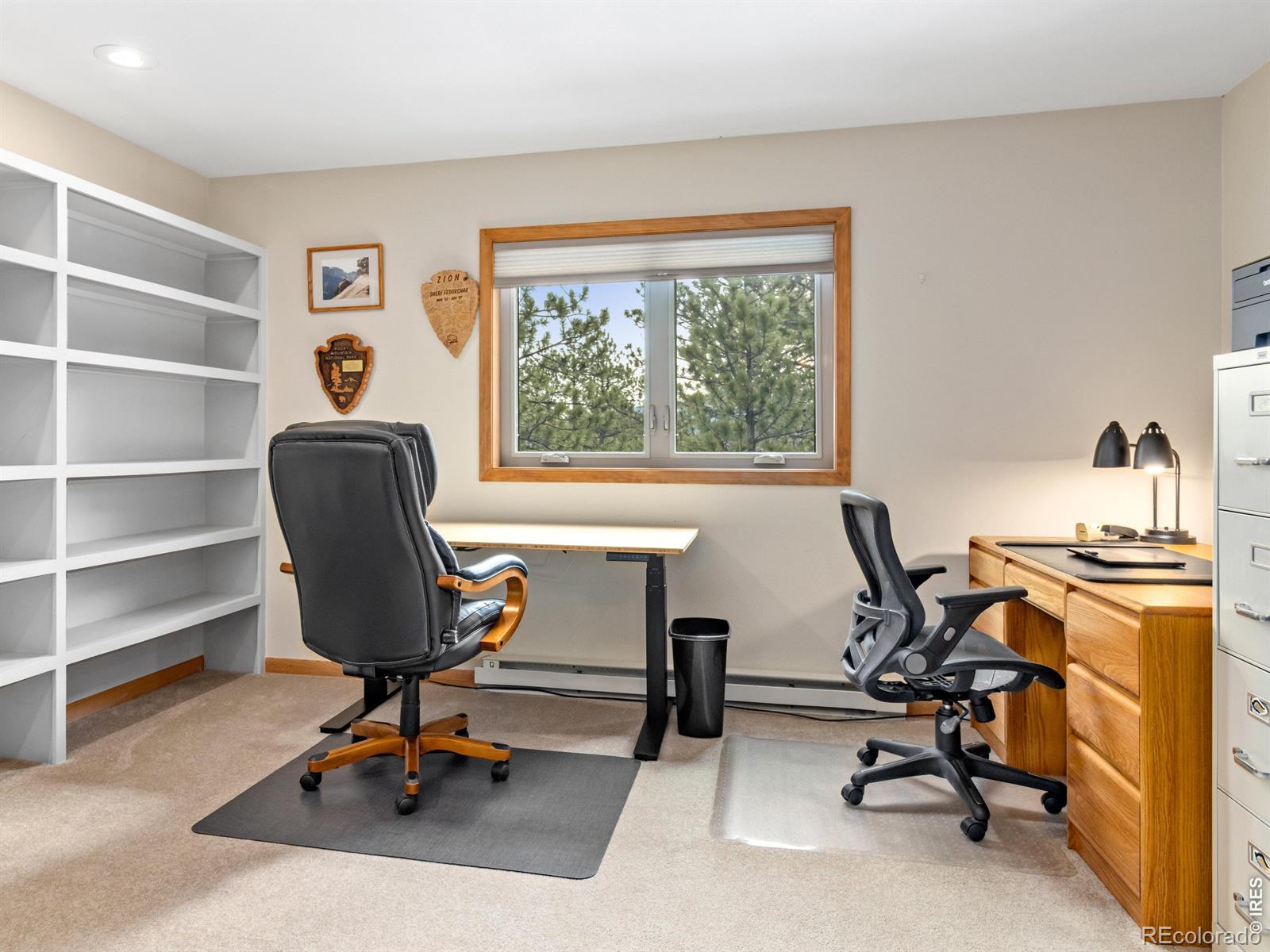 510 Chiquita Lane Estes Park CO 80517