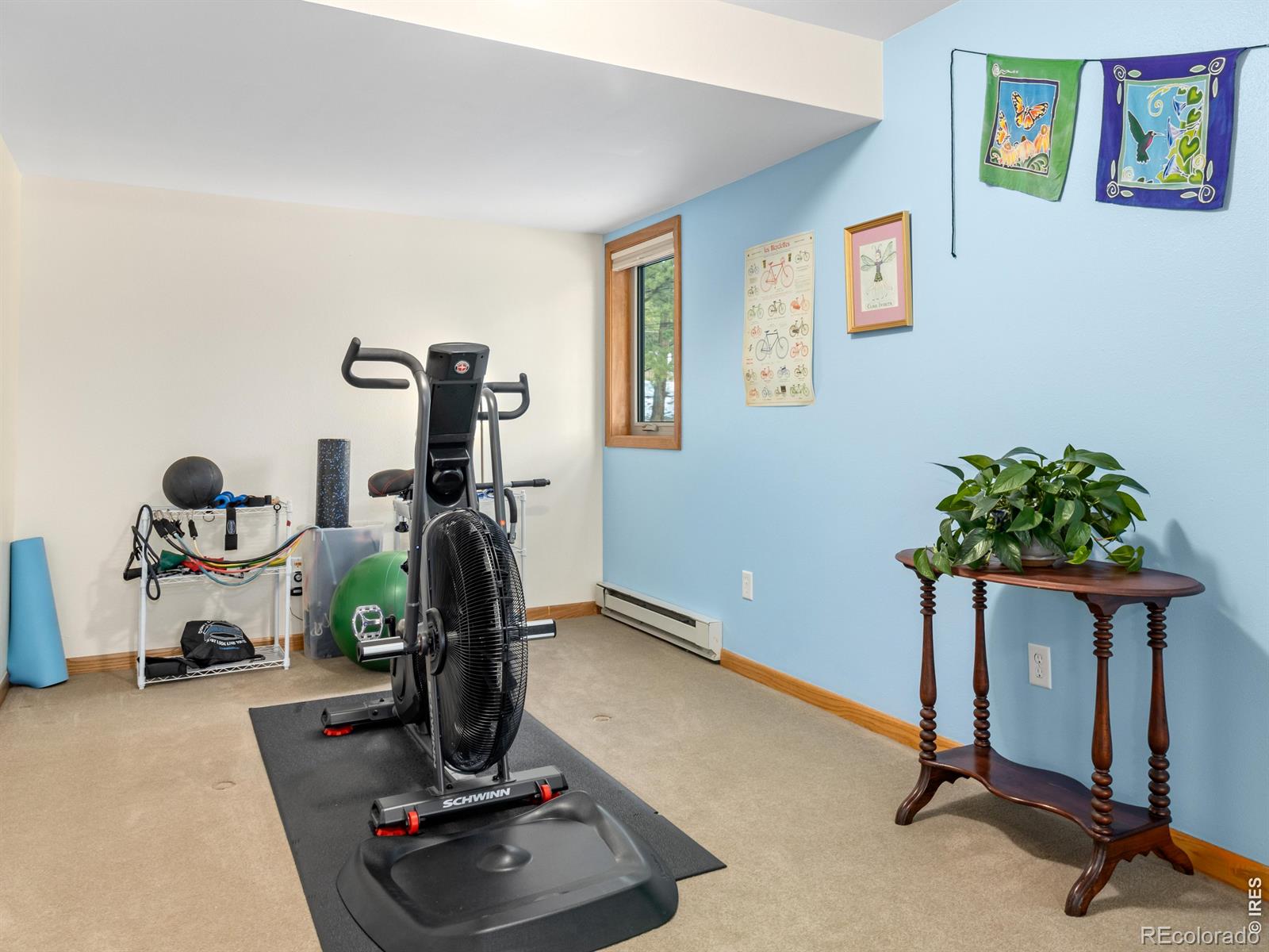 510 Chiquita Lane Estes Park CO 80517