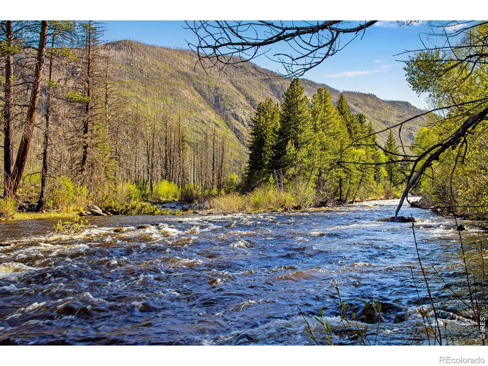 44174 Poudre Canyon Road Bellvue CO 80512