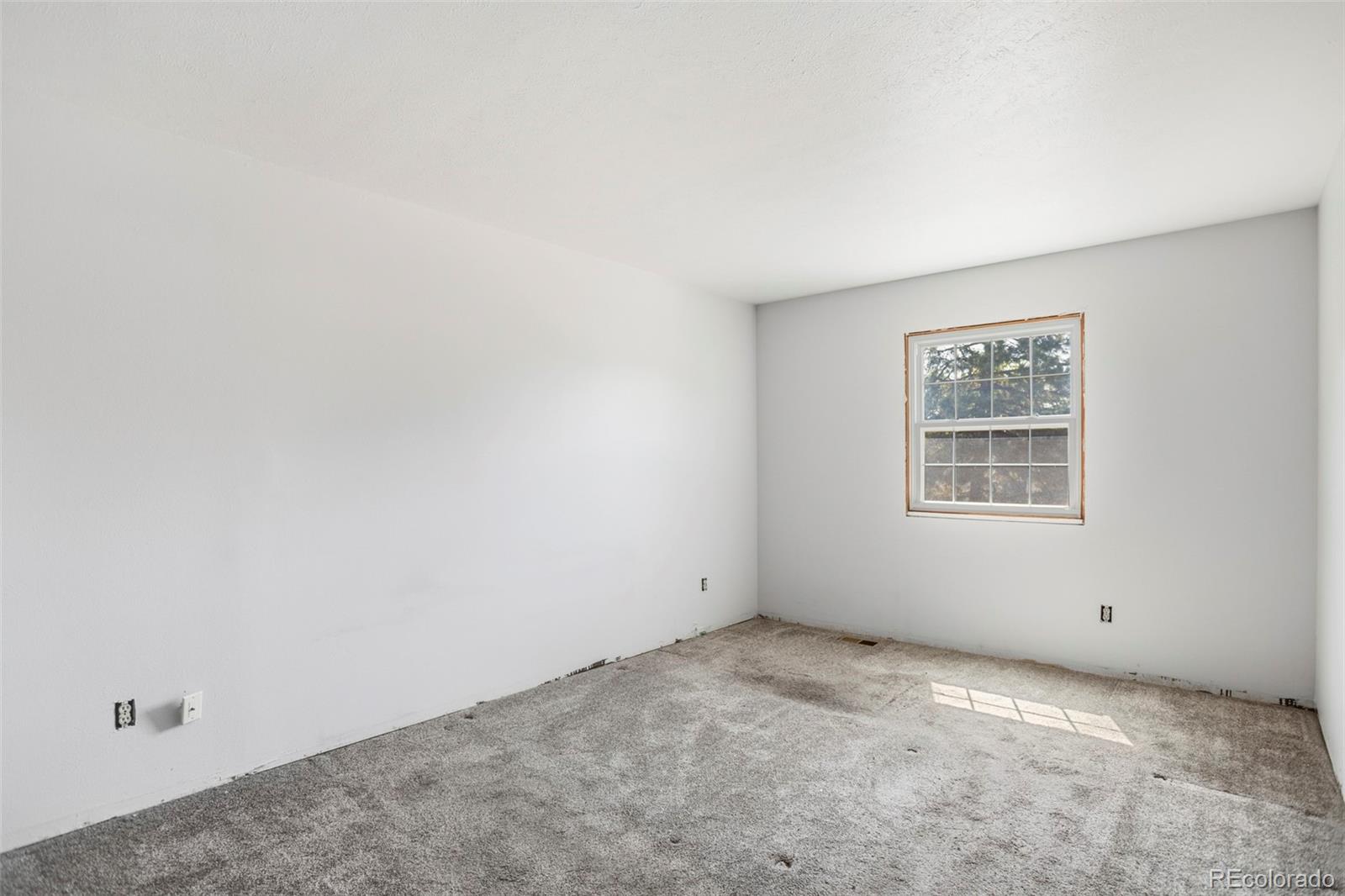 7123 S Lewis Court Littleton CO 80127