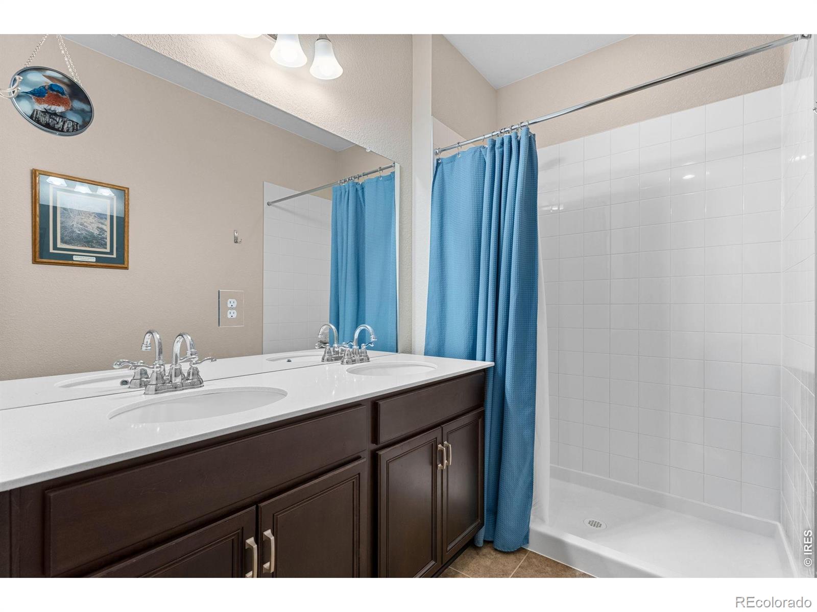 2431 Cottongrass Avenue Loveland CO 80538