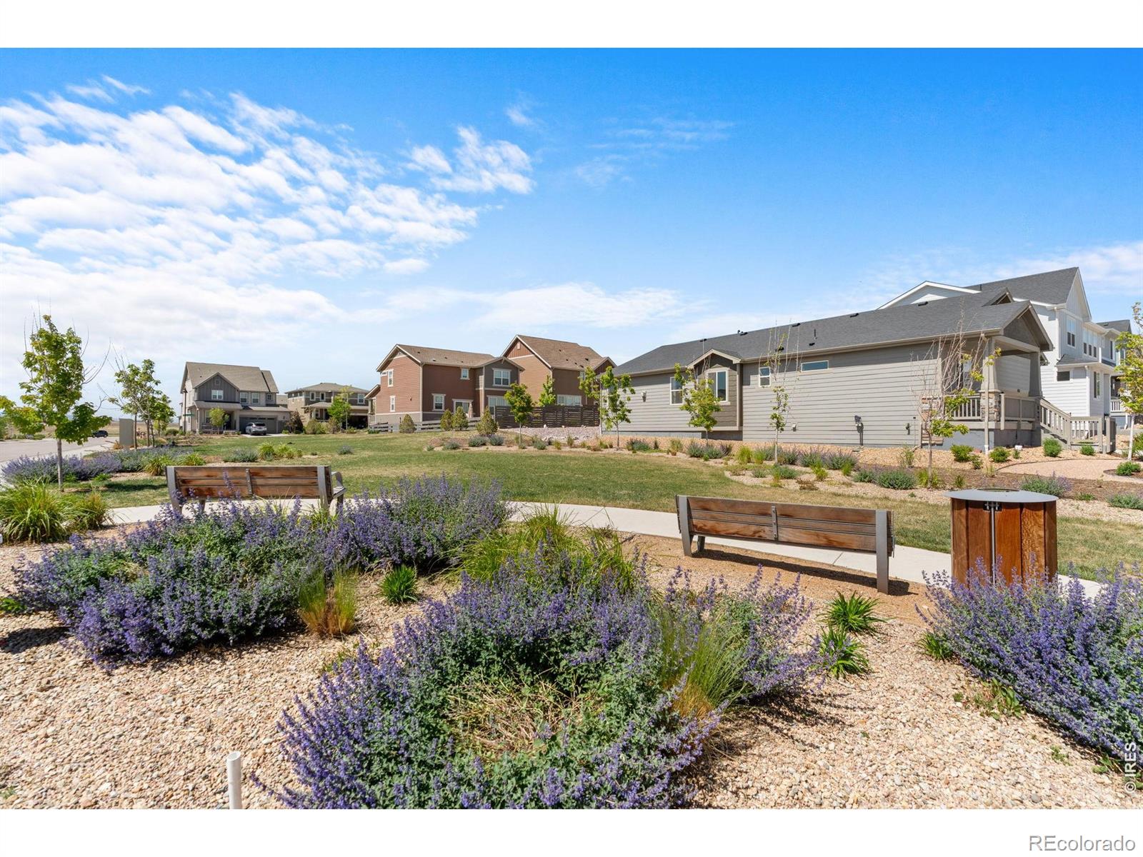 2431 Cottongrass Avenue Loveland CO 80538