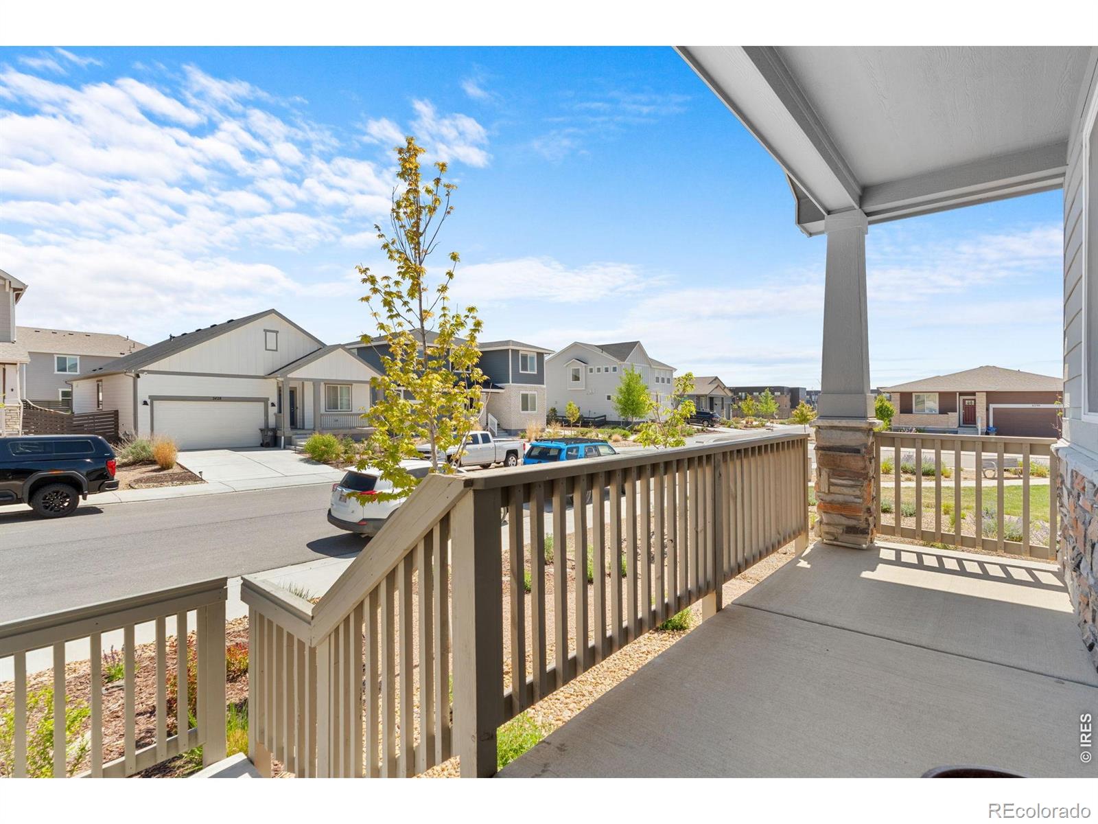 2431 Cottongrass Avenue Loveland CO 80538