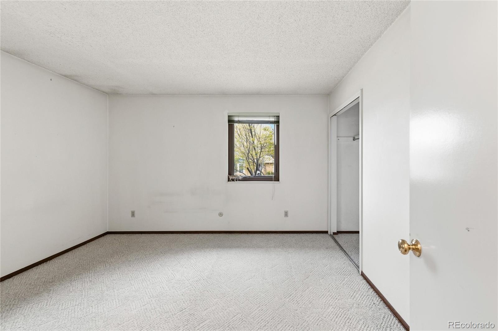2345 Lanyon Drive Longmont CO 80503