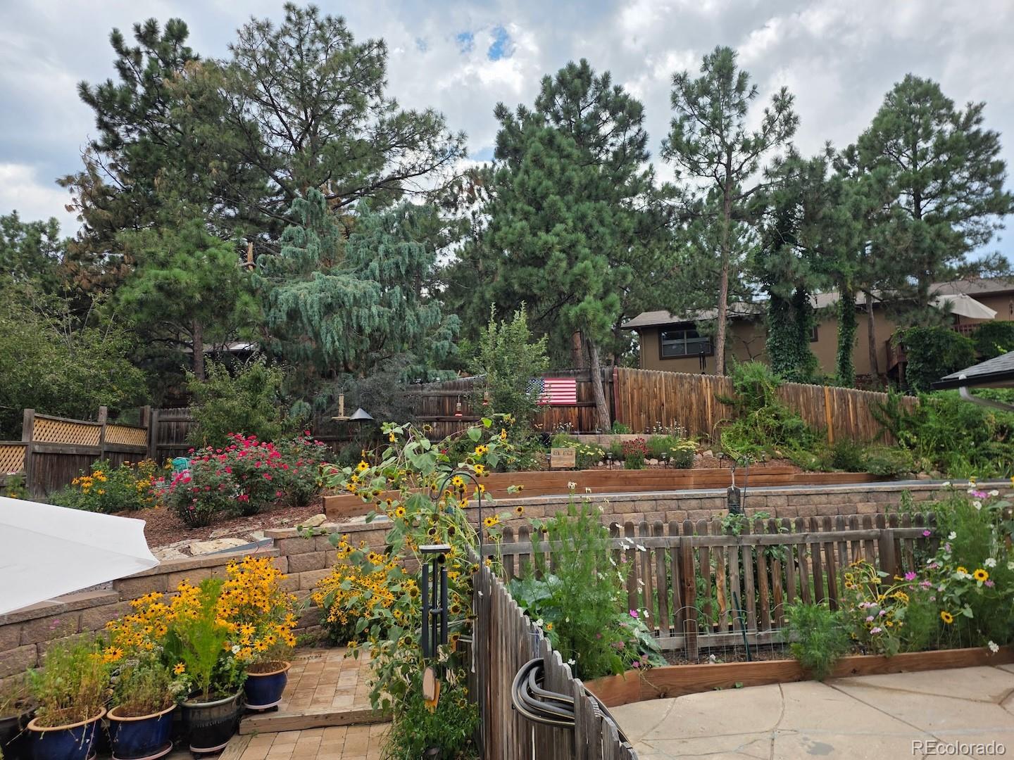 6020 Castlewood Lane Colorado Springs CO 80918