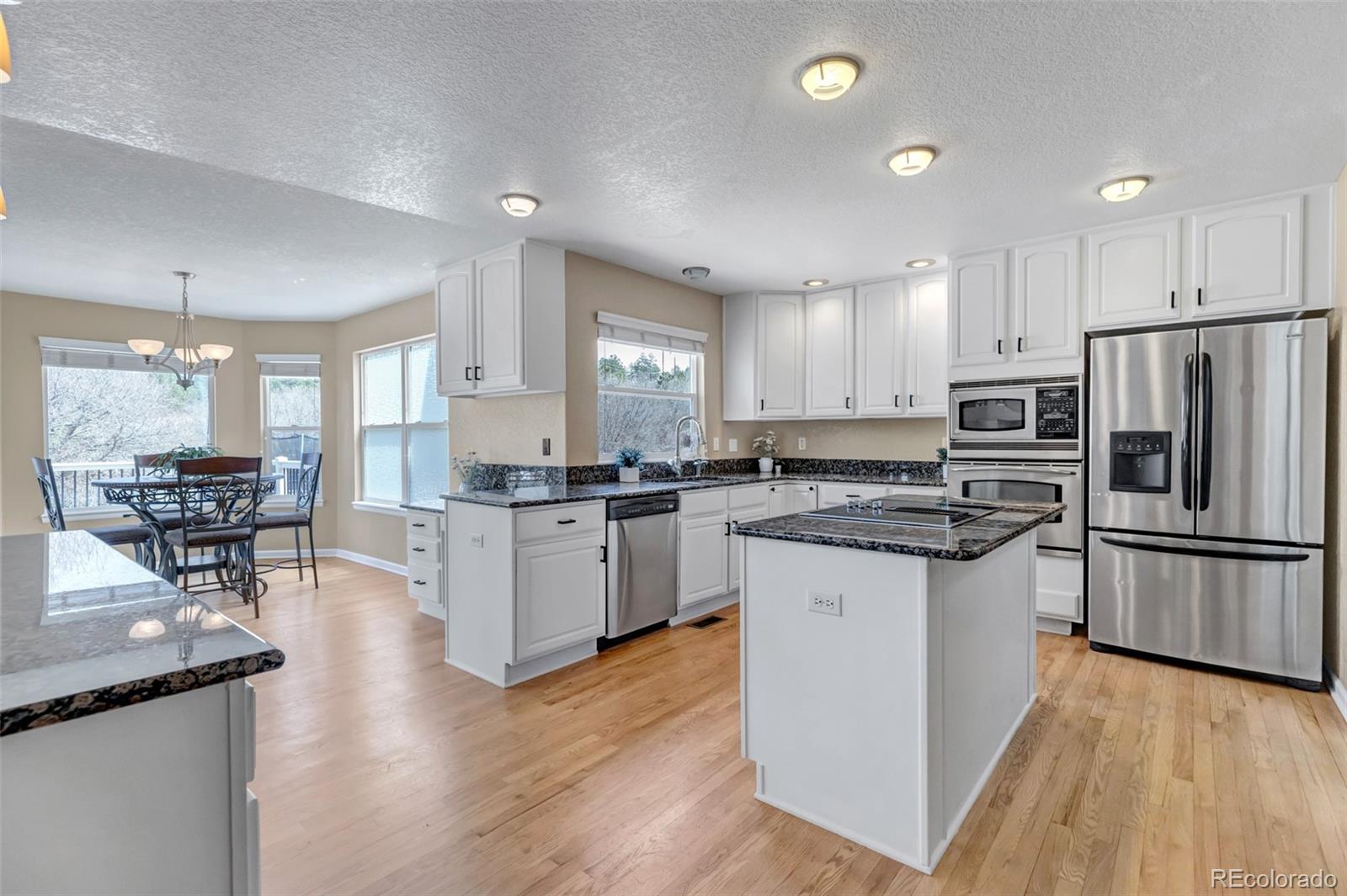 1645 Birchleaf Court Castle Rock CO 80104