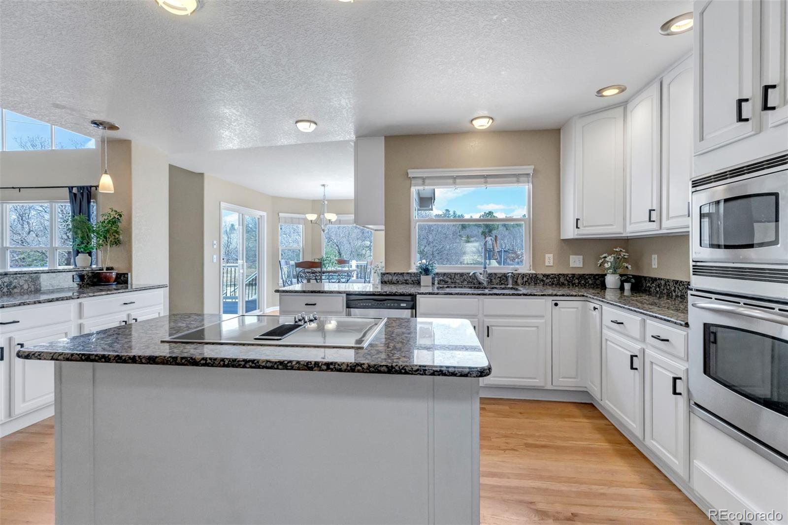 1645 Birchleaf Court Castle Rock CO 80104
