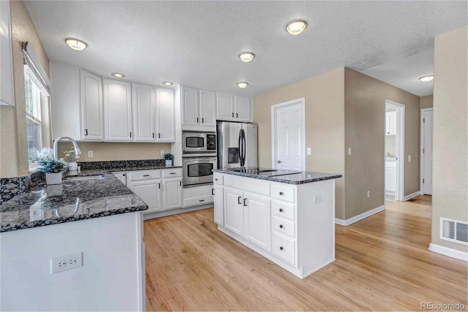 1645 Birchleaf Court Castle Rock CO 80104