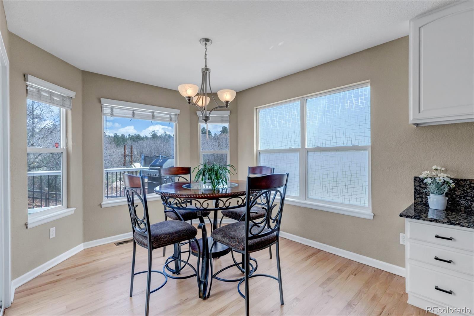1645 Birchleaf Court Castle Rock CO 80104