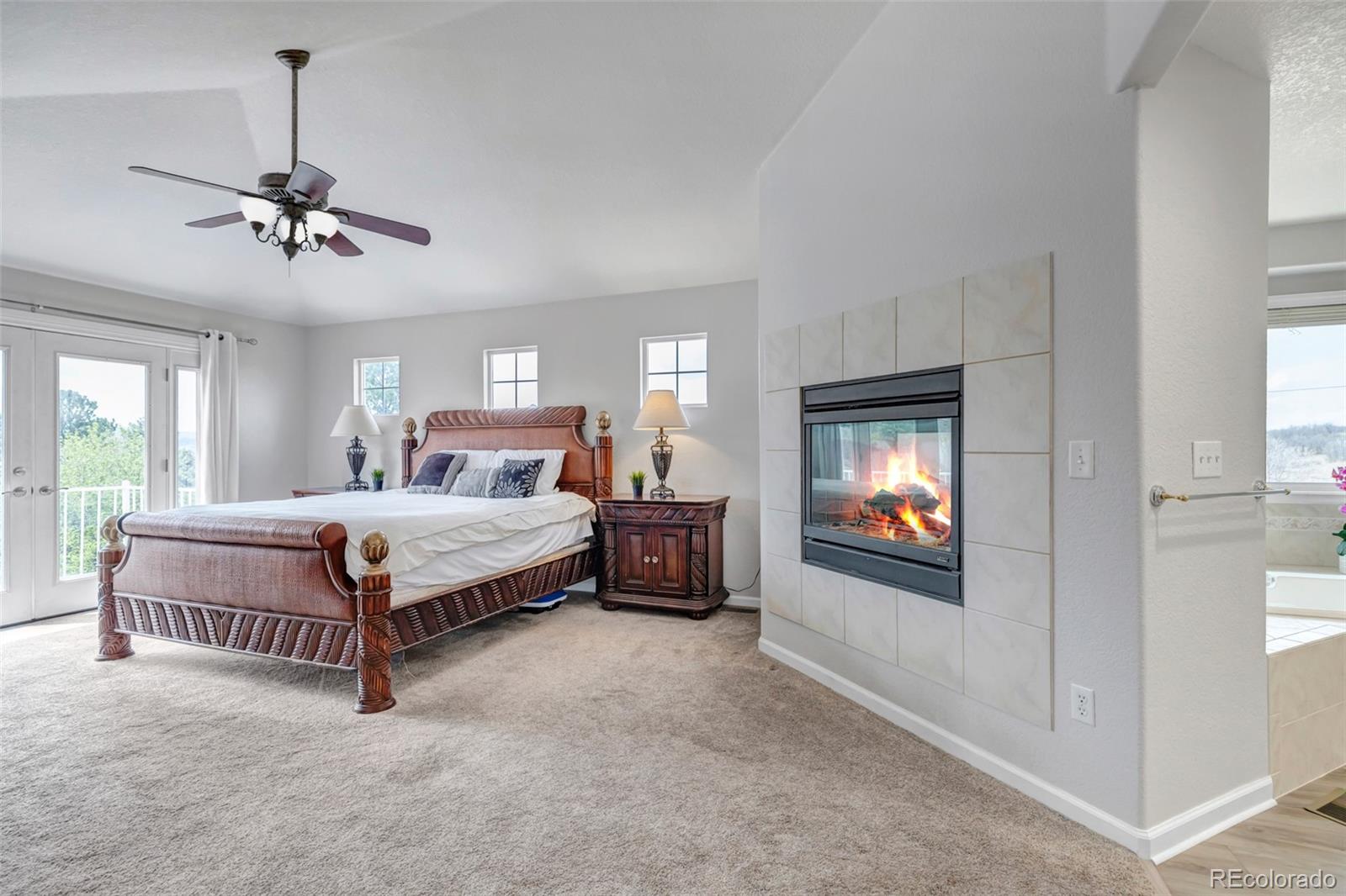 1645 Birchleaf Court Castle Rock CO 80104