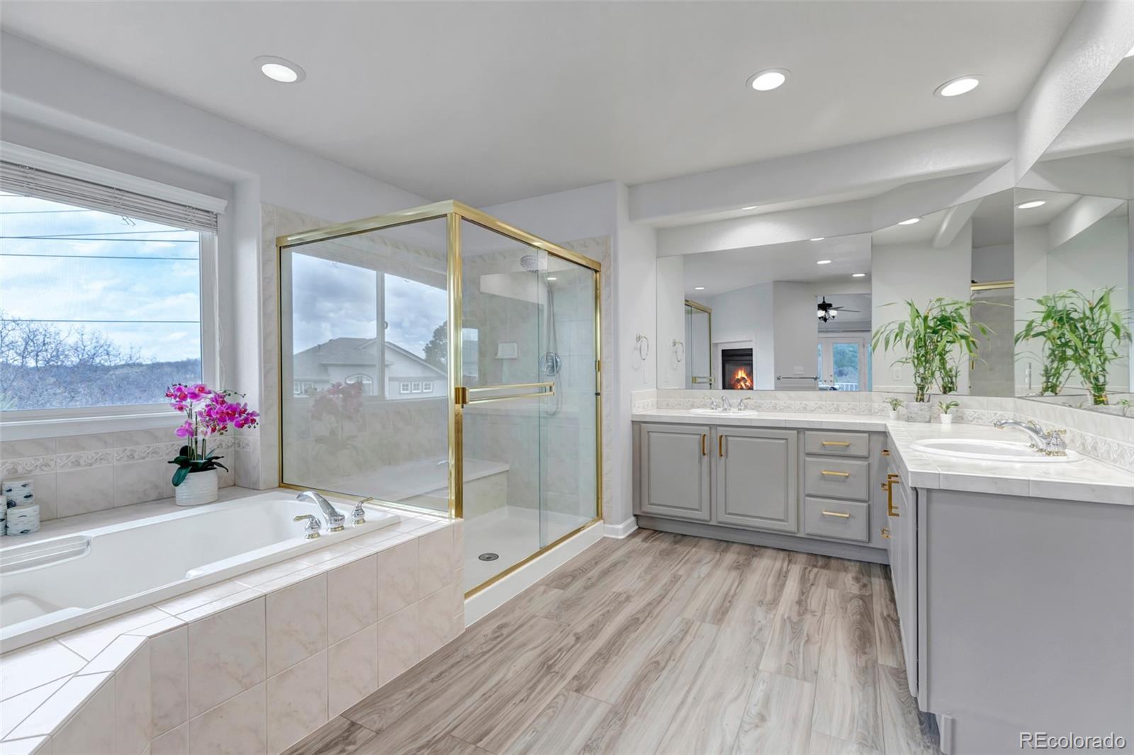 1645 Birchleaf Court Castle Rock CO 80104