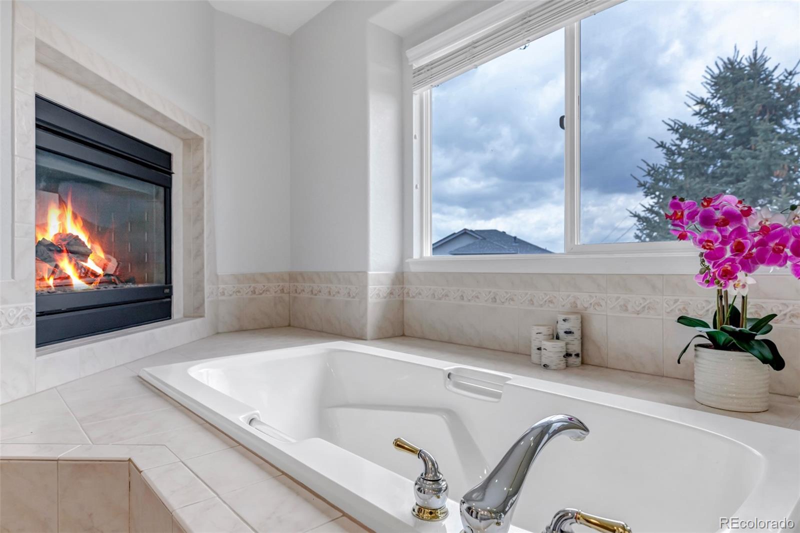 1645 Birchleaf Court Castle Rock CO 80104