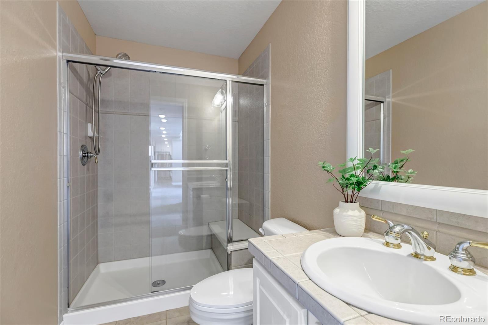 1645 Birchleaf Court Castle Rock CO 80104