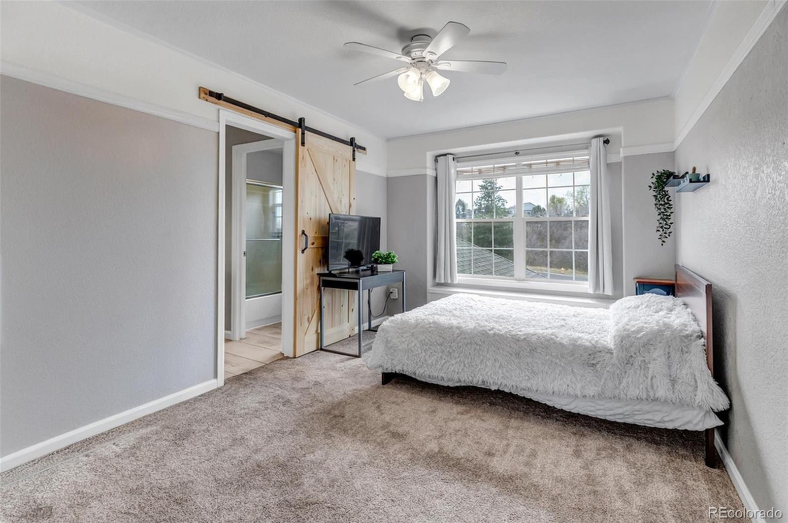 1645 Birchleaf Court Castle Rock CO 80104