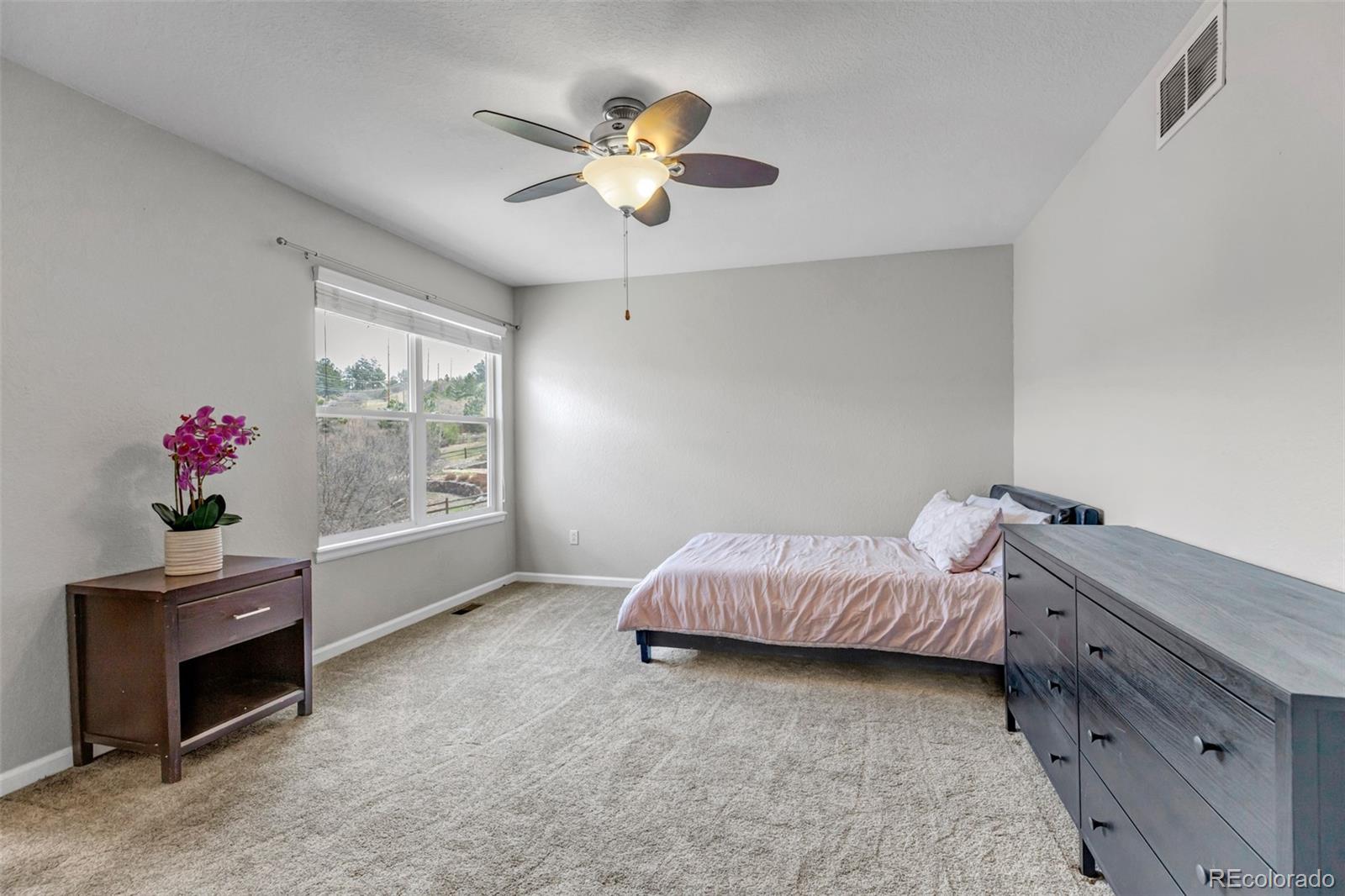 1645 Birchleaf Court Castle Rock CO 80104