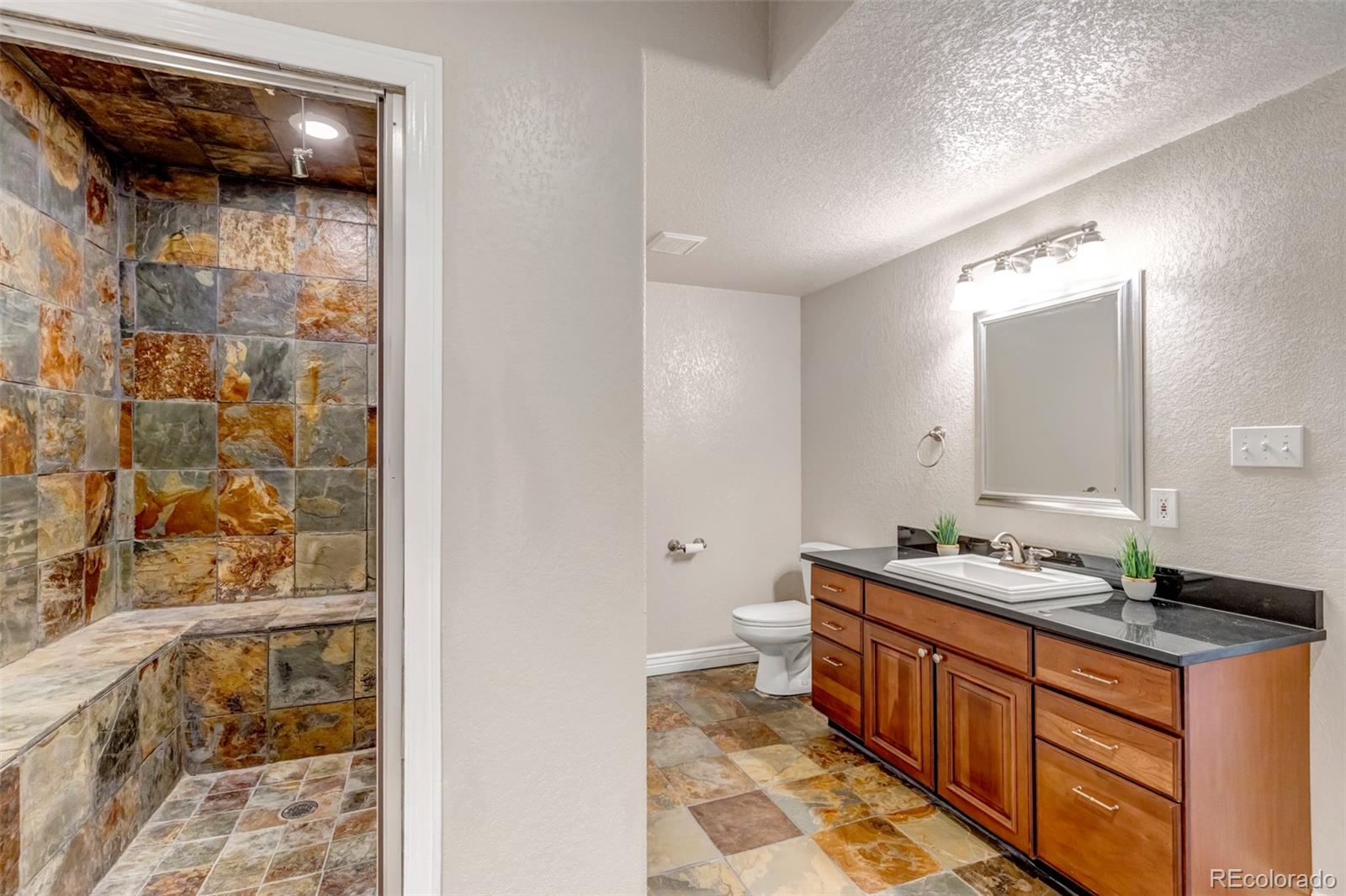 1645 Birchleaf Court Castle Rock CO 80104