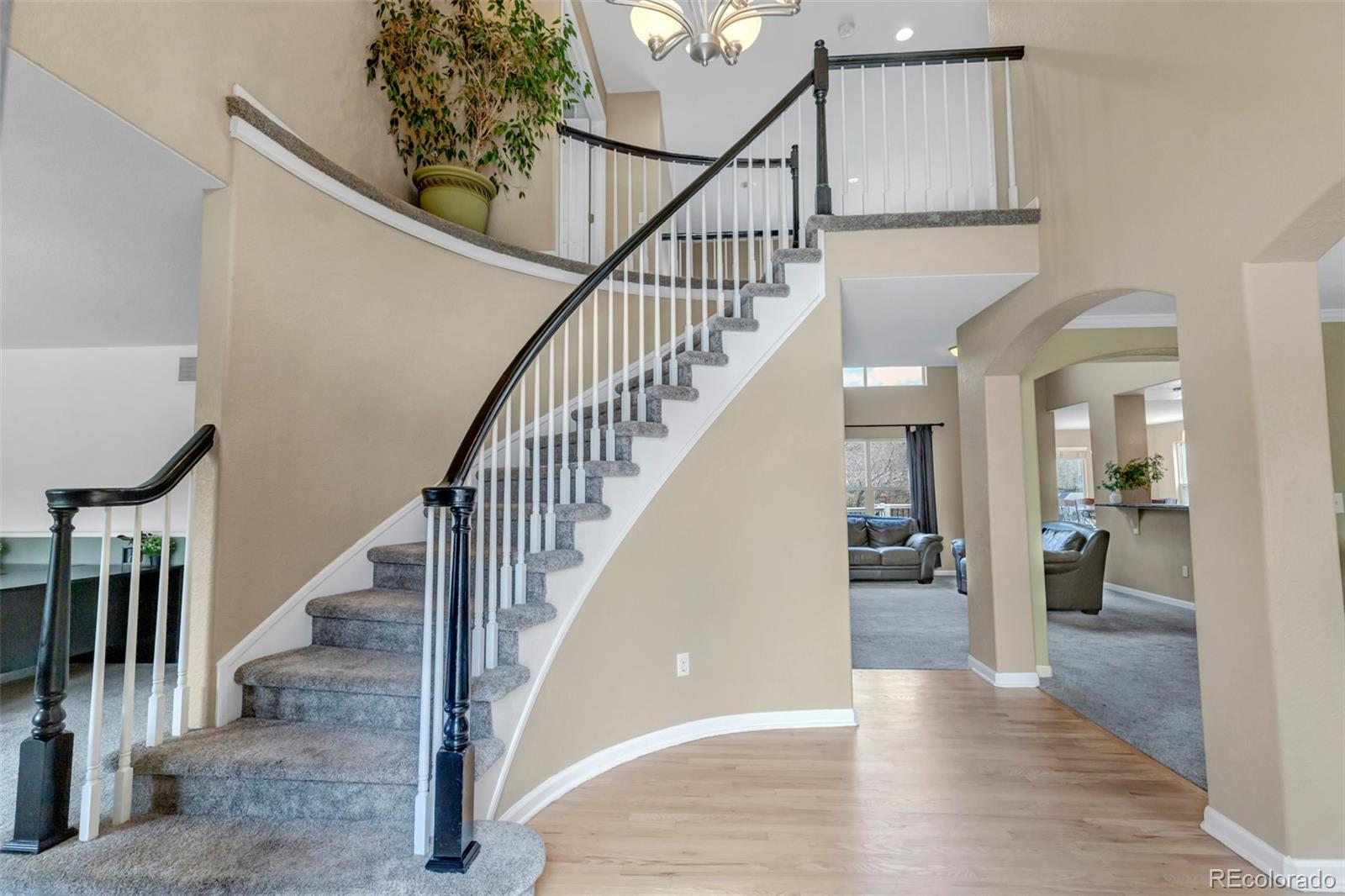 1645 Birchleaf Court Castle Rock CO 80104