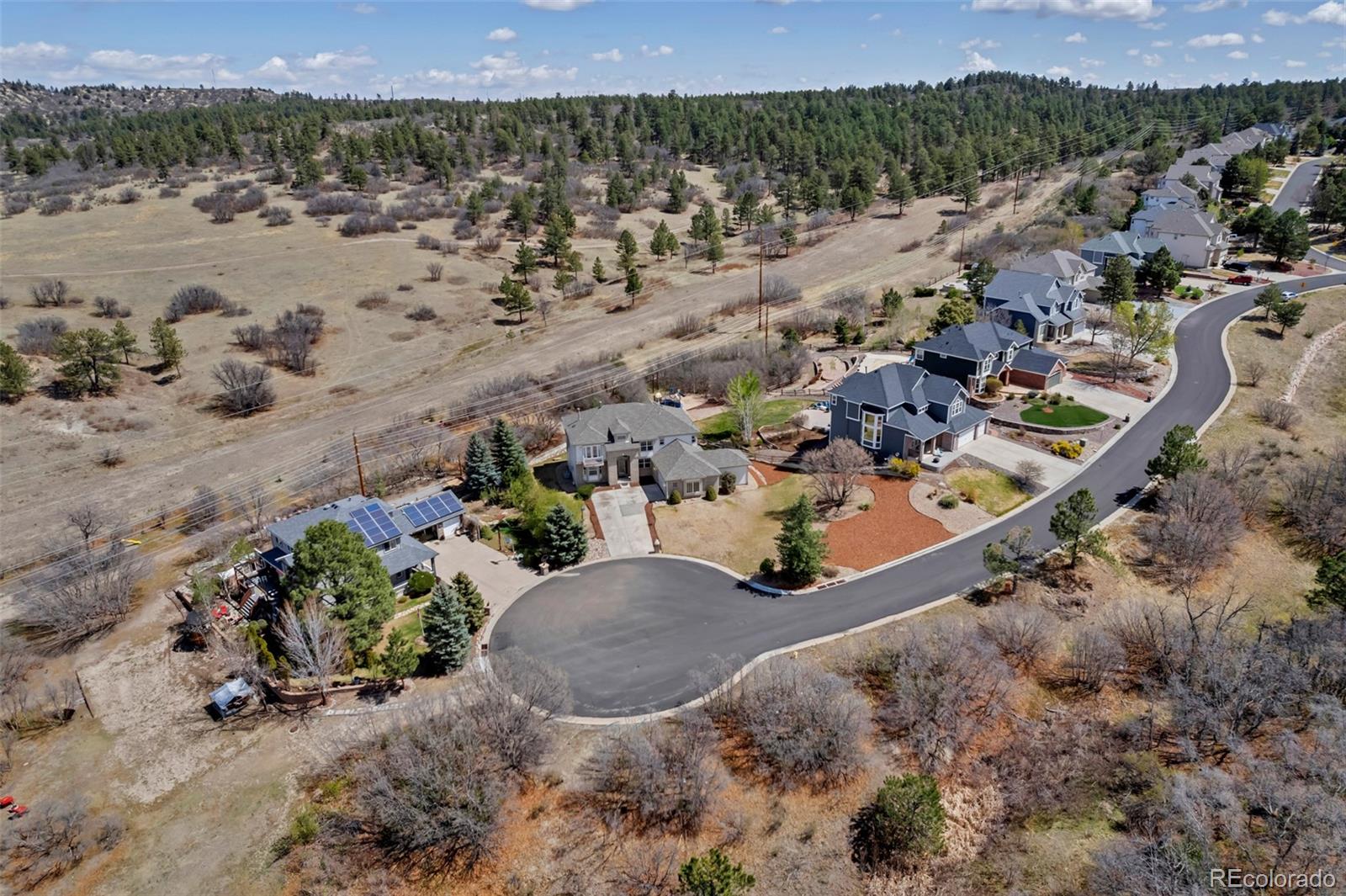 1645 Birchleaf Court Castle Rock CO 80104
