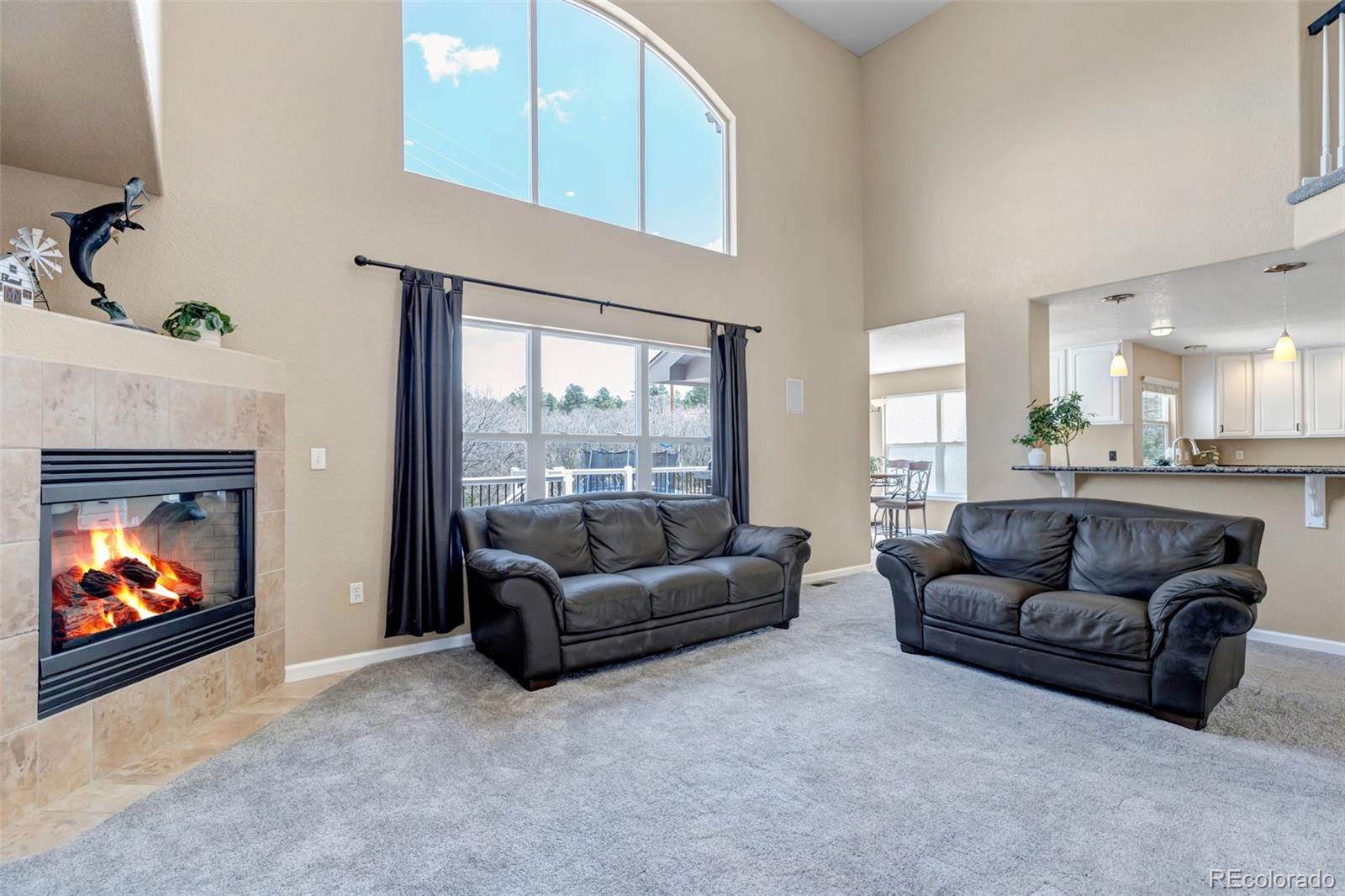 1645 Birchleaf Court Castle Rock CO 80104