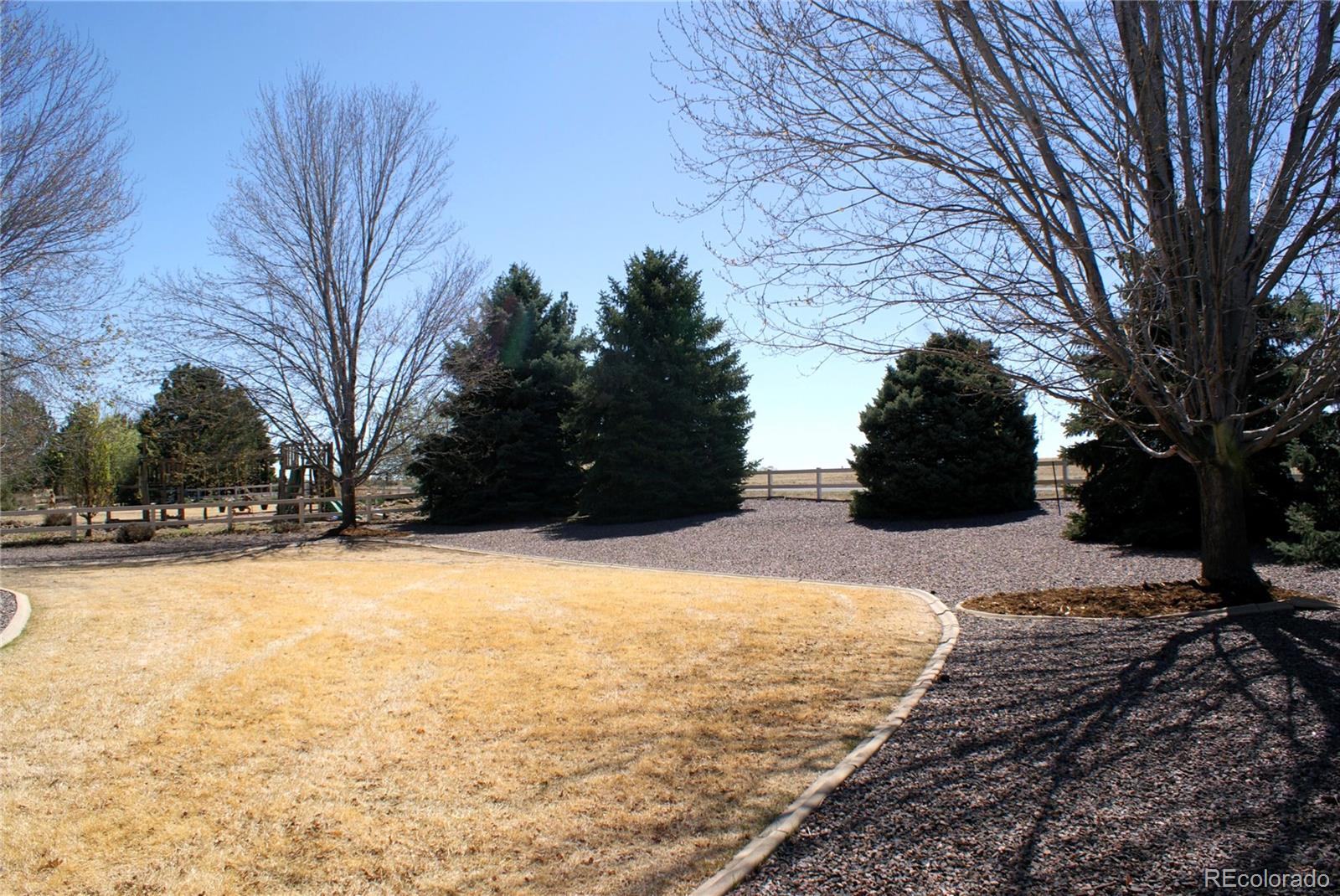 6576 Saddleback Avenue Firestone CO 80504