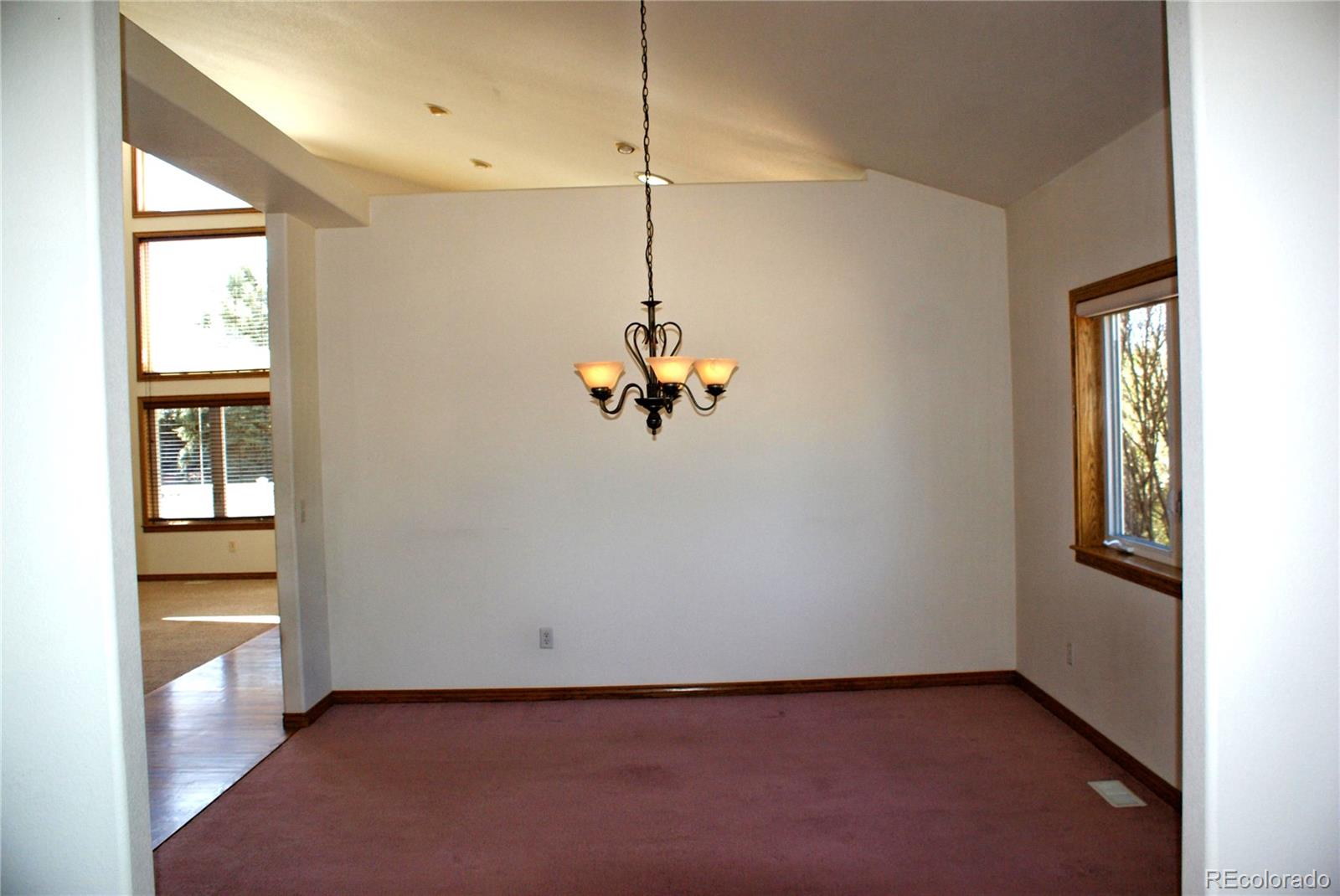 6576 Saddleback Avenue Firestone CO 80504