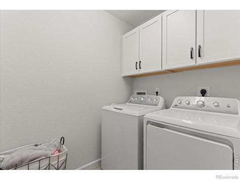 946 Rustling Street Windsor CO 80550