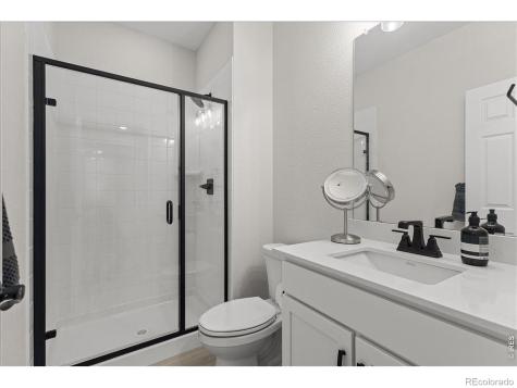 946 Rustling Street Windsor CO 80550