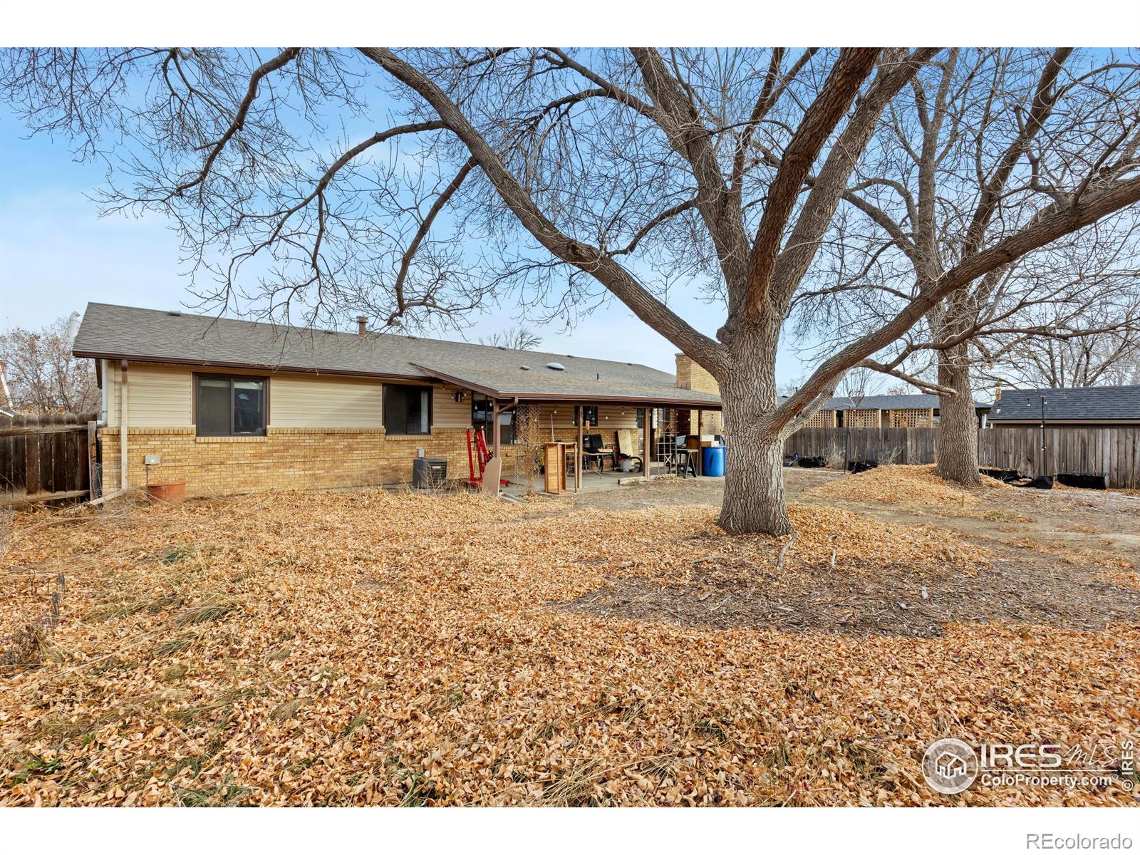 1551 Vivian Street Longmont CO 80501