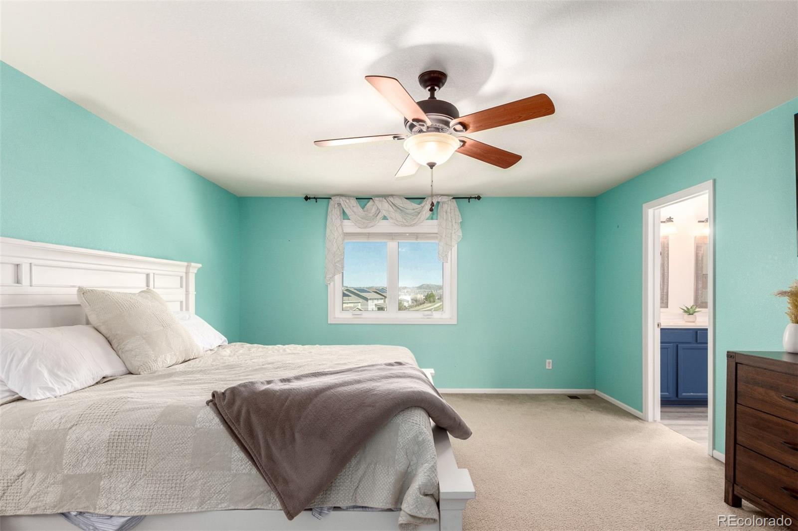 2881 Black Canyon Way Castle Rock CO 80109