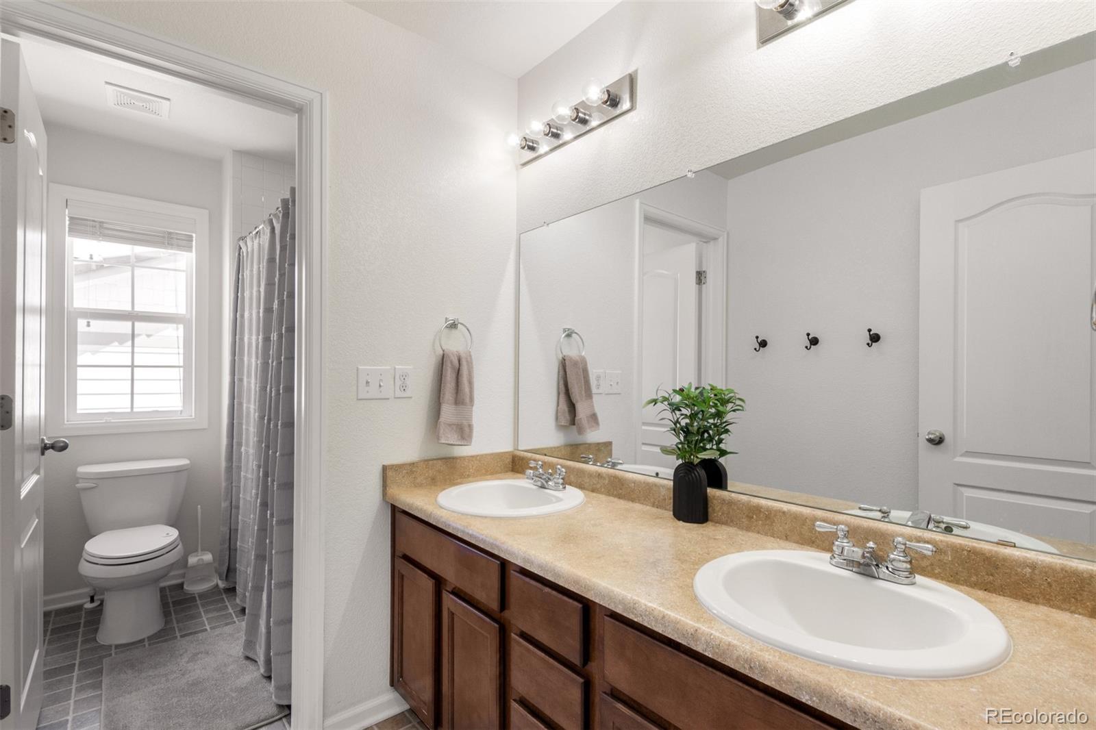 2881 Black Canyon Way Castle Rock CO 80109