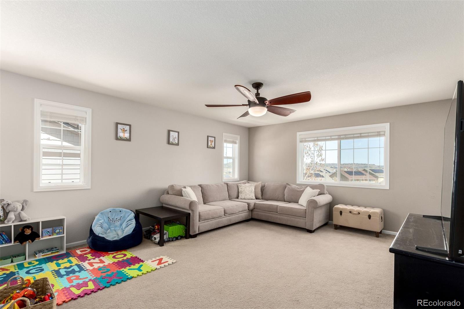 2881 Black Canyon Way Castle Rock CO 80109