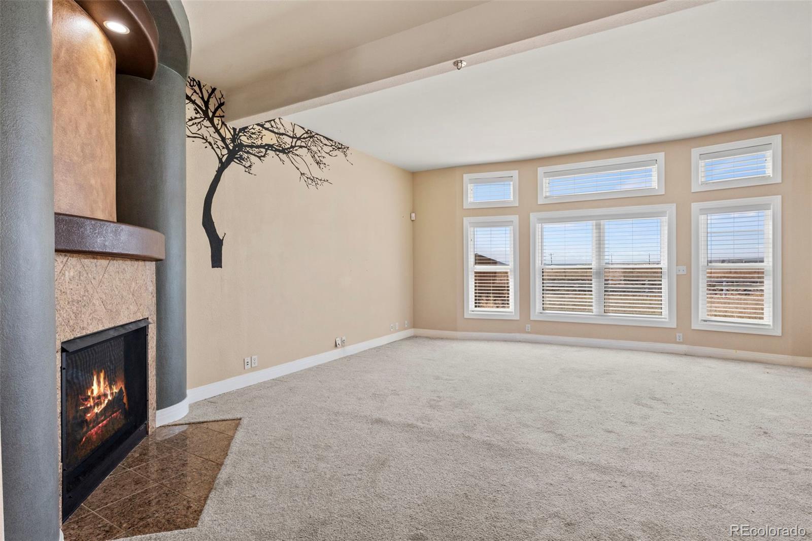 14975 Tiboria Loop Peyton CO 80831