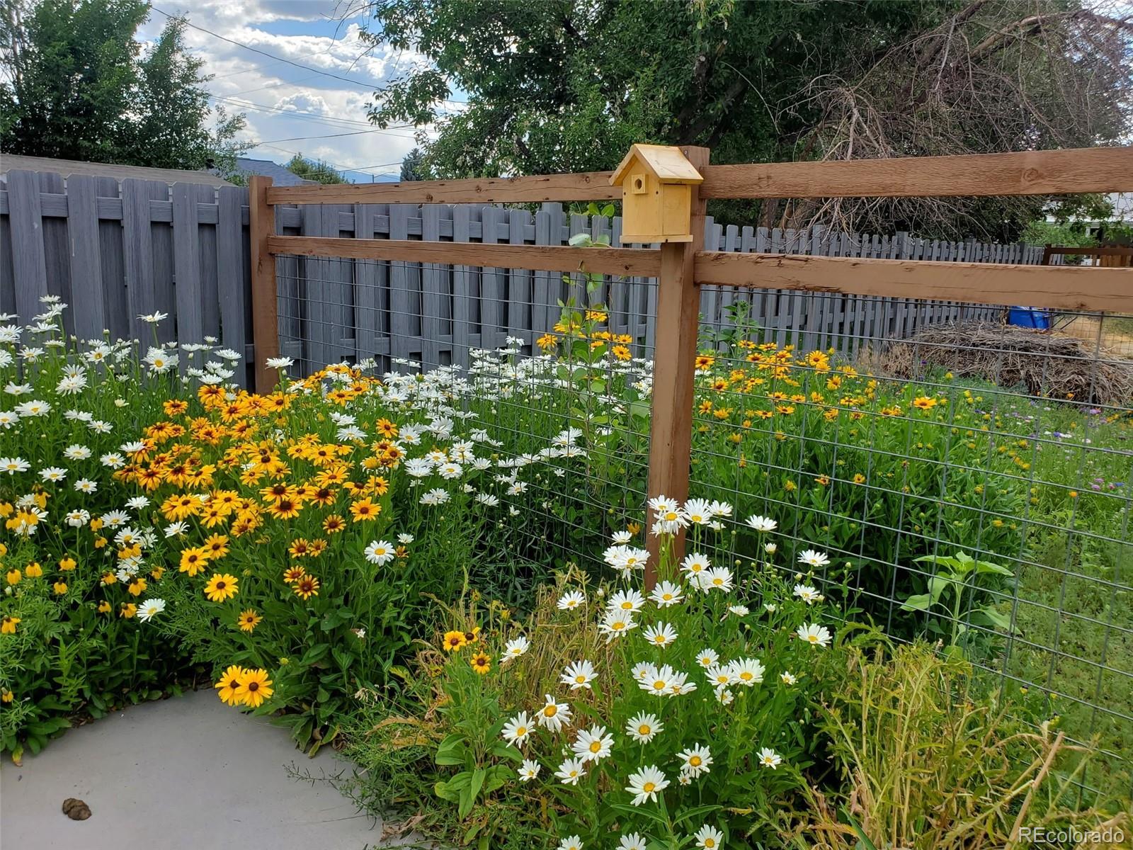 1302 I Street Salida CO 81201