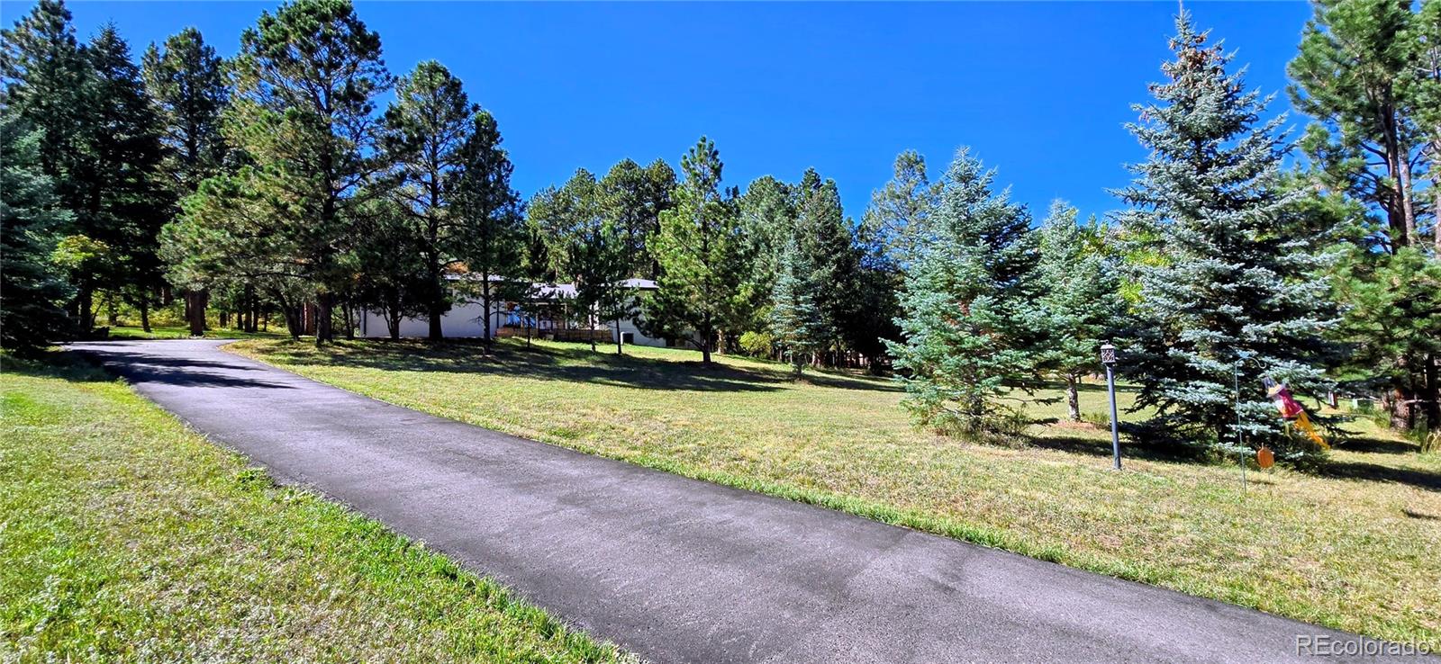 8057 Bannock Drive Larkspur CO 80118