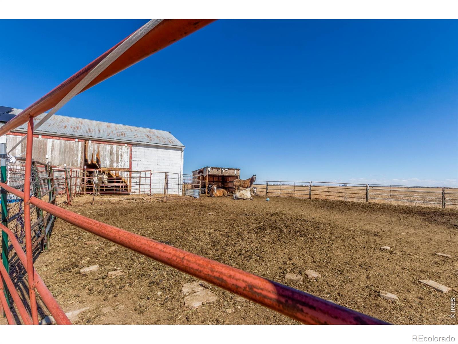 16524 County Road 3 Wiggins CO 80654